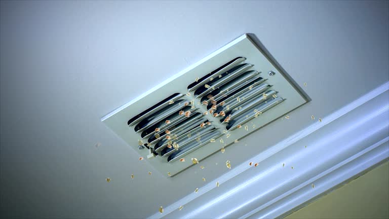 Best Air Duct Cleaning Near Me  in Swartz Creek, MI
