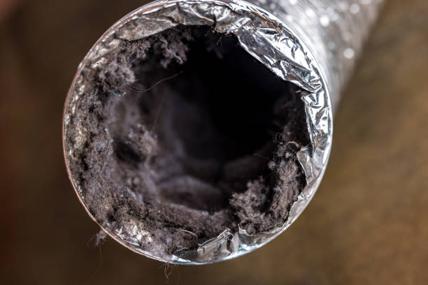 Best HVAC Duct Inspection Services  in Swartz Creek, MI