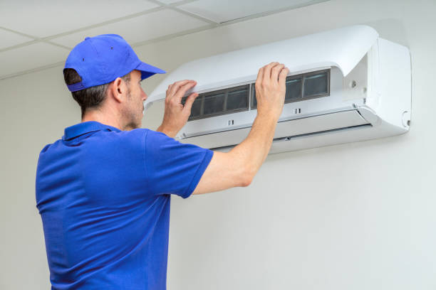 Best Local Air Duct Cleaning Services  in Swartz Creek, MI