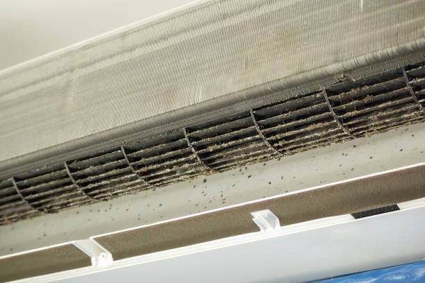 Best Emergency Air Duct Cleaning  in Swartz Creek, MI